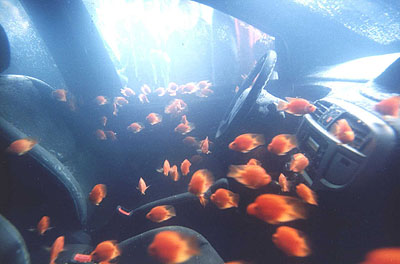 현대 라비타 피쉬카 (Fish Car)