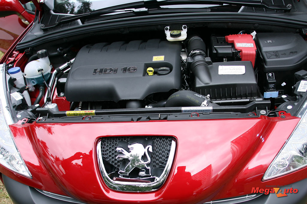 48564_10_1.jpg