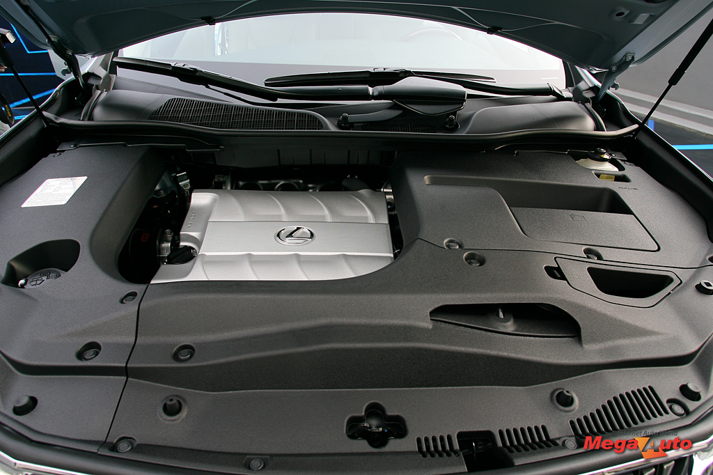 49253_27_1.jpg