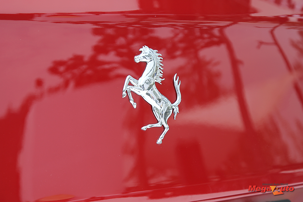 54941_52_1.jpg