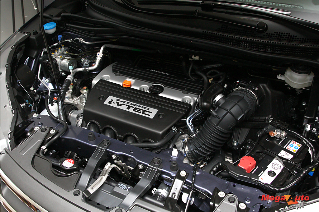 55407_40_1.jpg