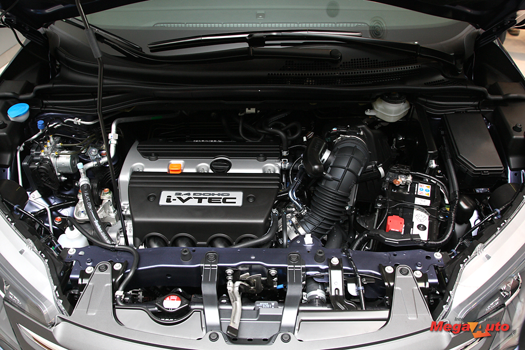 55407_41_1.jpg