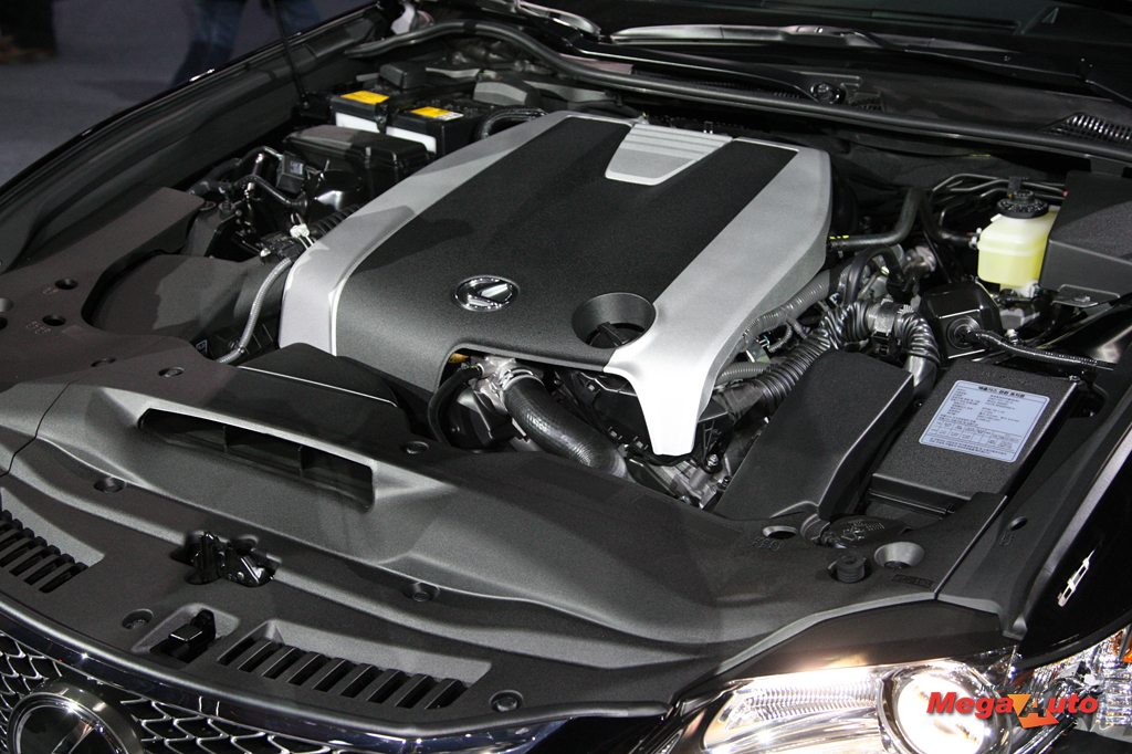 55951_55_1.jpg