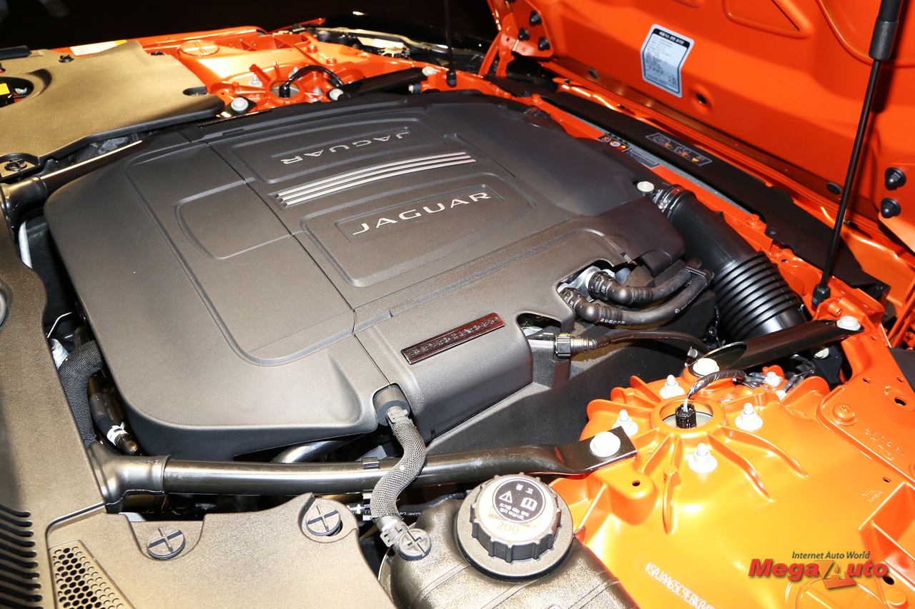 59900_48_1.jpg