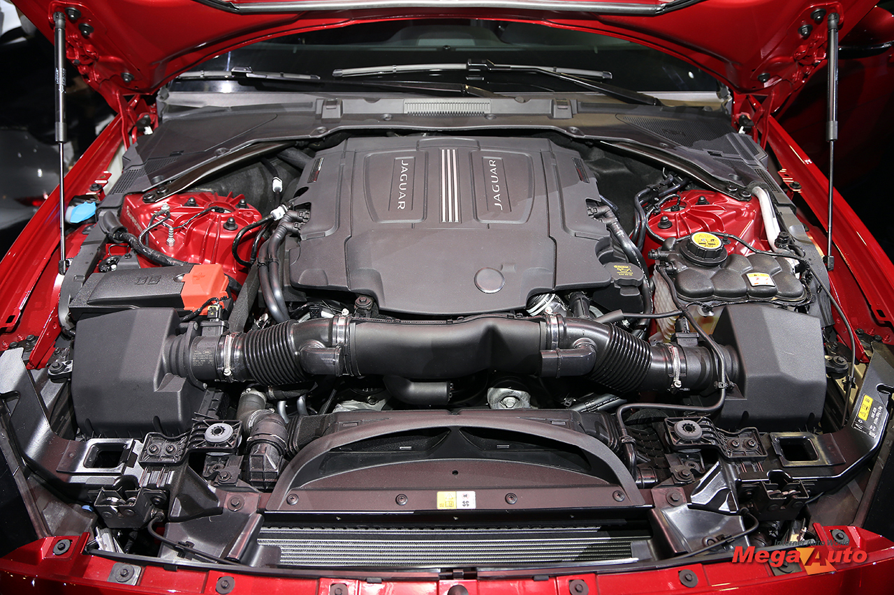 66331_73_1.jpg