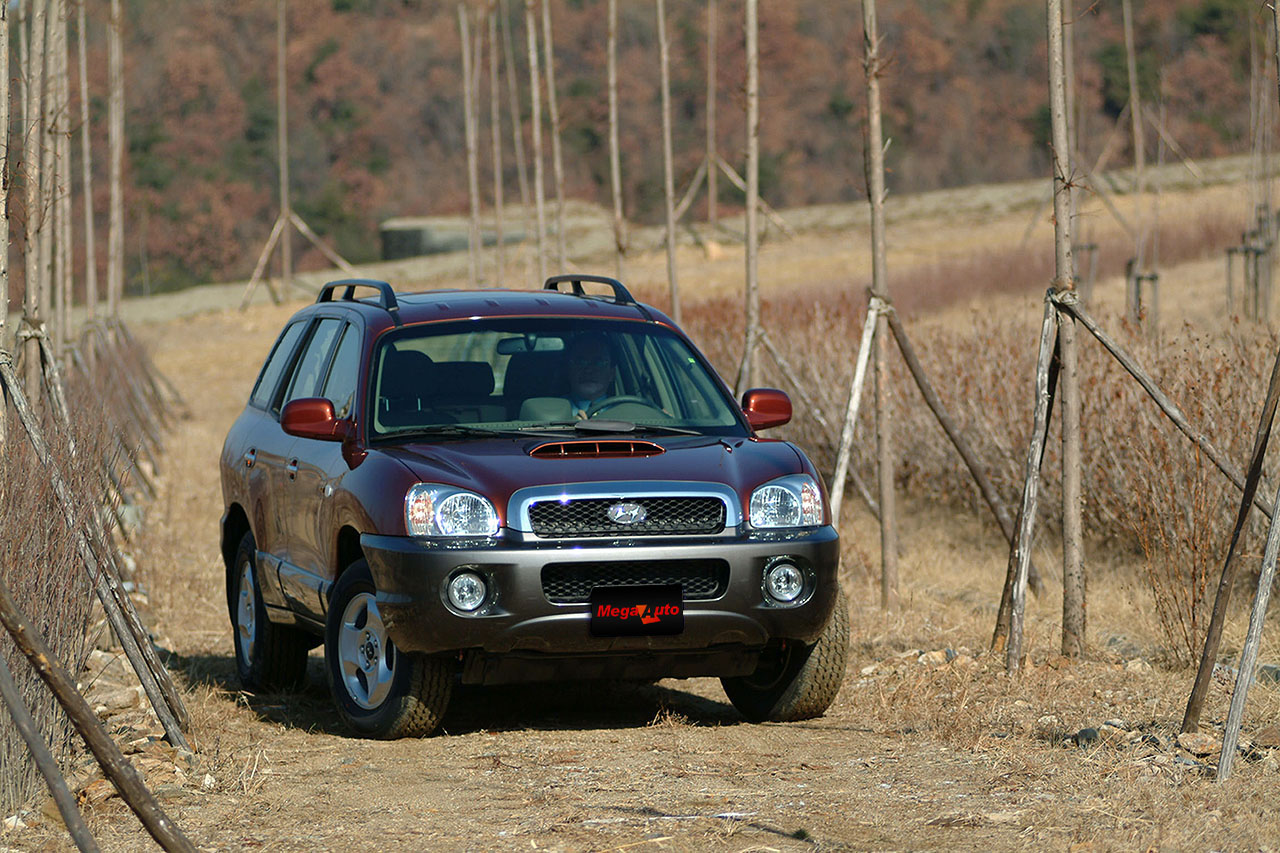 43371_10_img.jpg