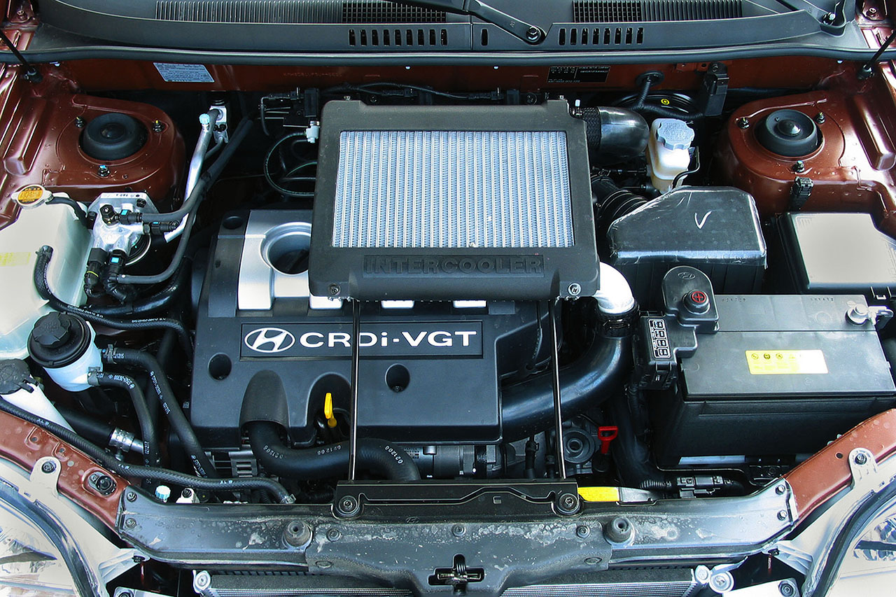 43371_35_img.jpg