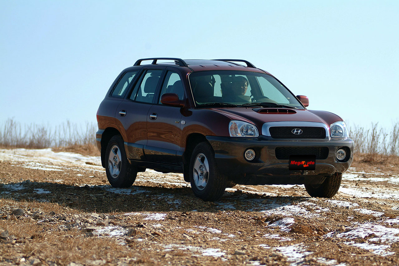 43371_8_img.jpg