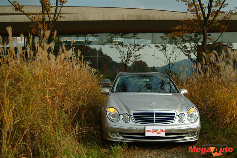 24910_7_1.jpg