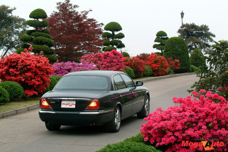 29066_6_1.jpg