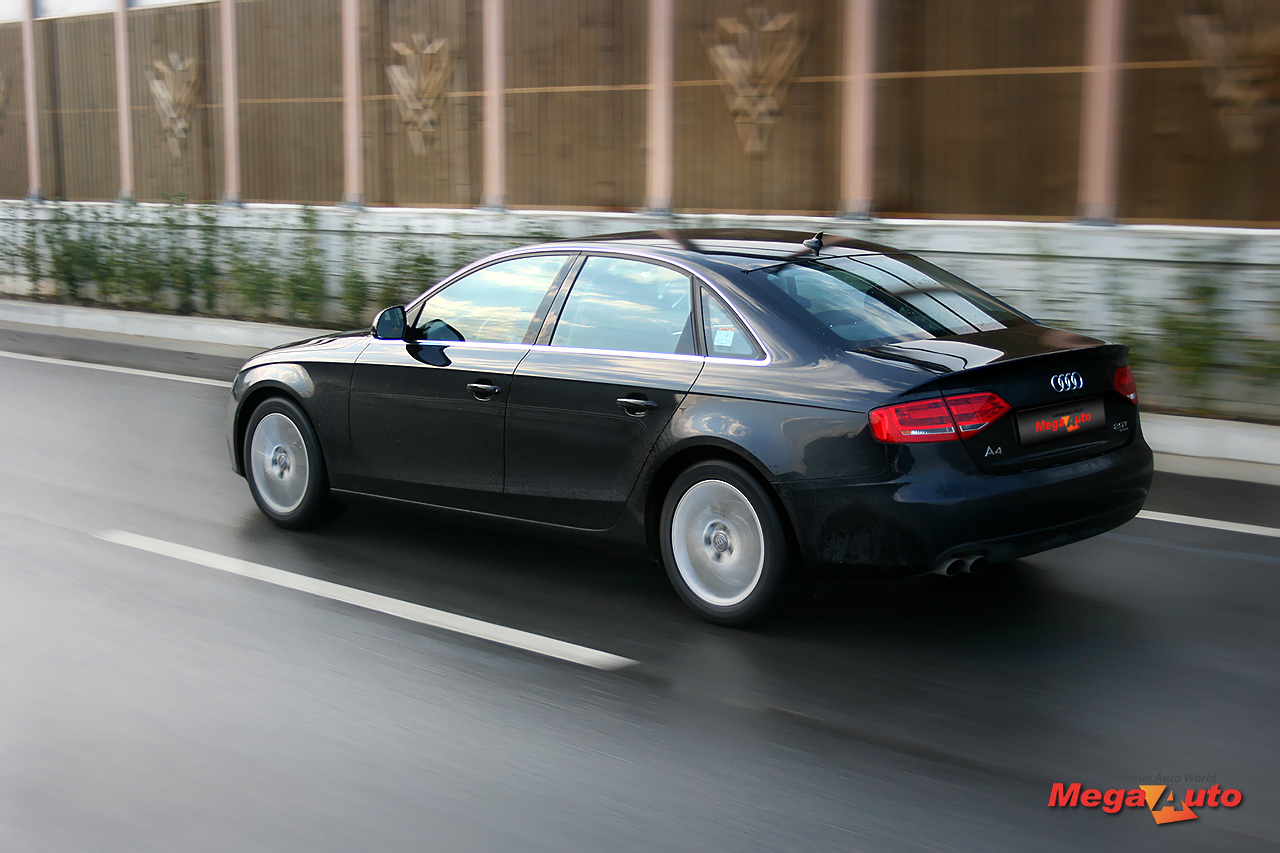 48790_26_1.jpg