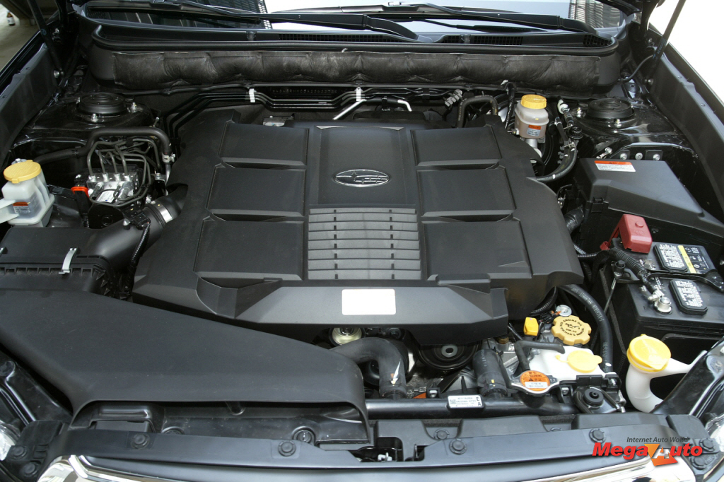 52249_78_1.jpg