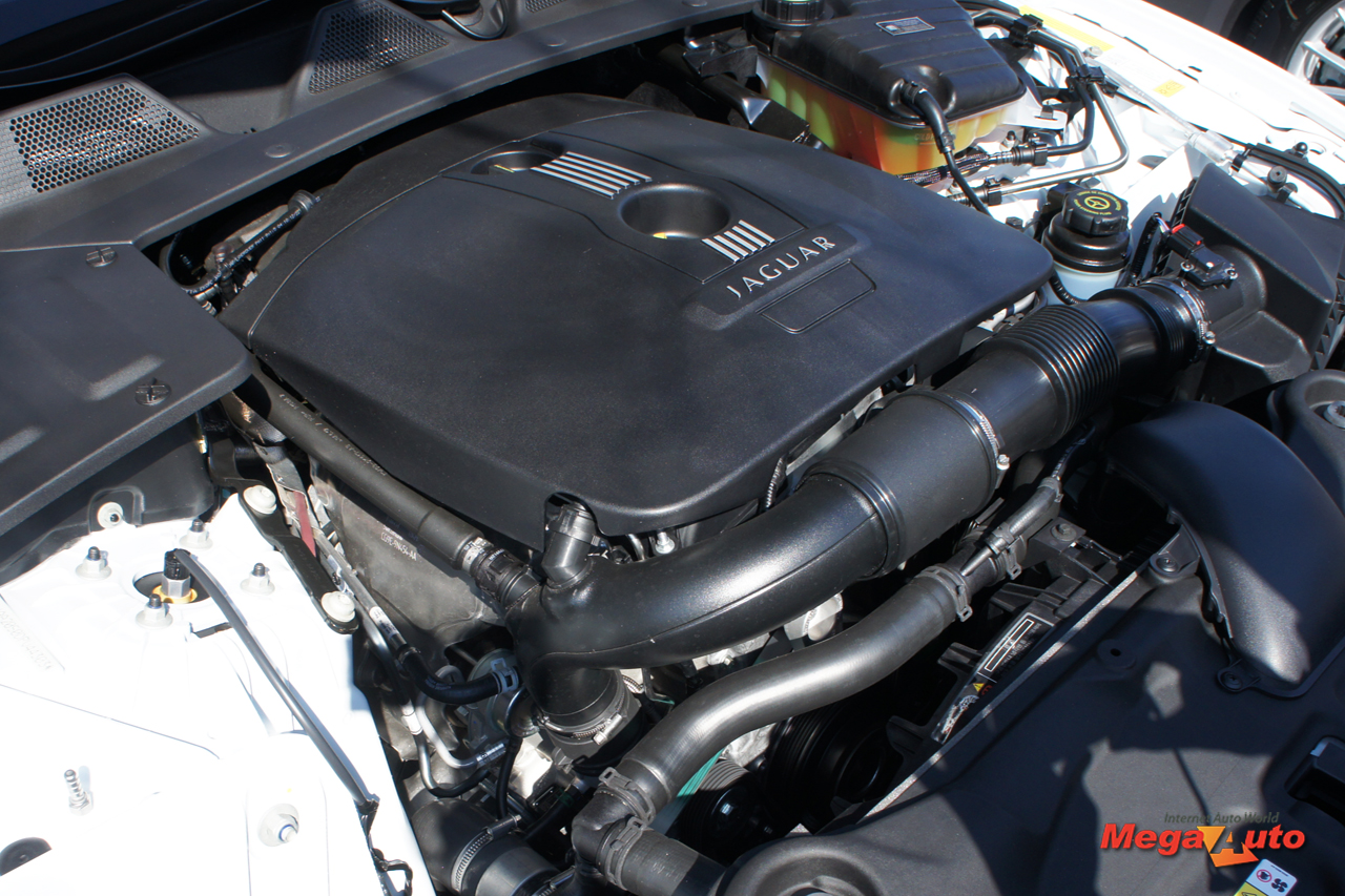 58692_29_1.JPG