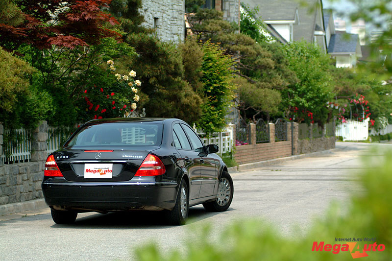 9910_8_1.jpg