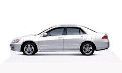 Premium White Pearl