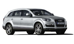 Light Silver Metallic