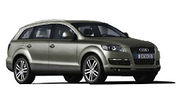 Sycamore Green Metallic