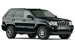 Deep Berly Green Pearl Coat