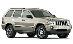 Ligtht Khaki Metallic Clear Coat