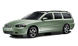 Willow Green Metallic