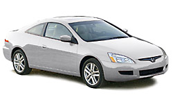 Premium White Pearl