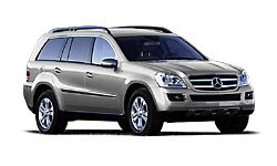 Iridium Silver Metallic