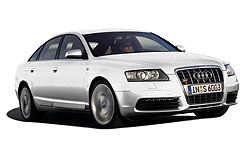 Ibis White