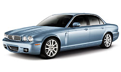 Frost Blue