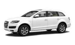 Ibis White