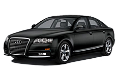 Oyster Grey metallic