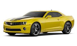 Rally Yellow