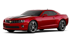Red Jewel Tintcoat