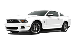 performence white