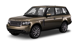 Nara Bronze Metallic 