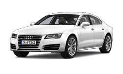 Ice White