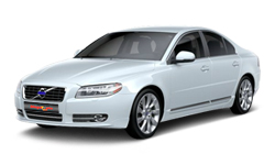 Ice White