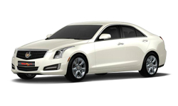 White Dimond Tintcoat