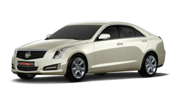 Silver Coast Metallic