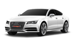 Ice White