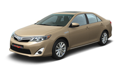 Beige Metallic