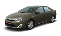 Olive Mica Metallic
