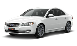 Ice White