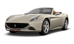 Grigio Ingrid