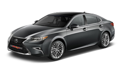 Mercury Gray Mica