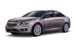 스모키 퍼플 그레이