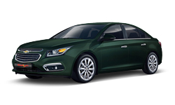 딥 포레스트 그린