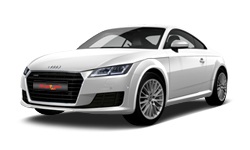 Ibis White