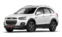 스노우 화이트 펄