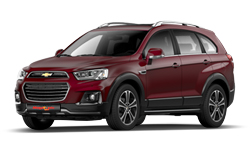 다크 스칼렛 레드