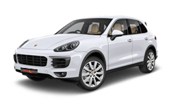 Carrera White